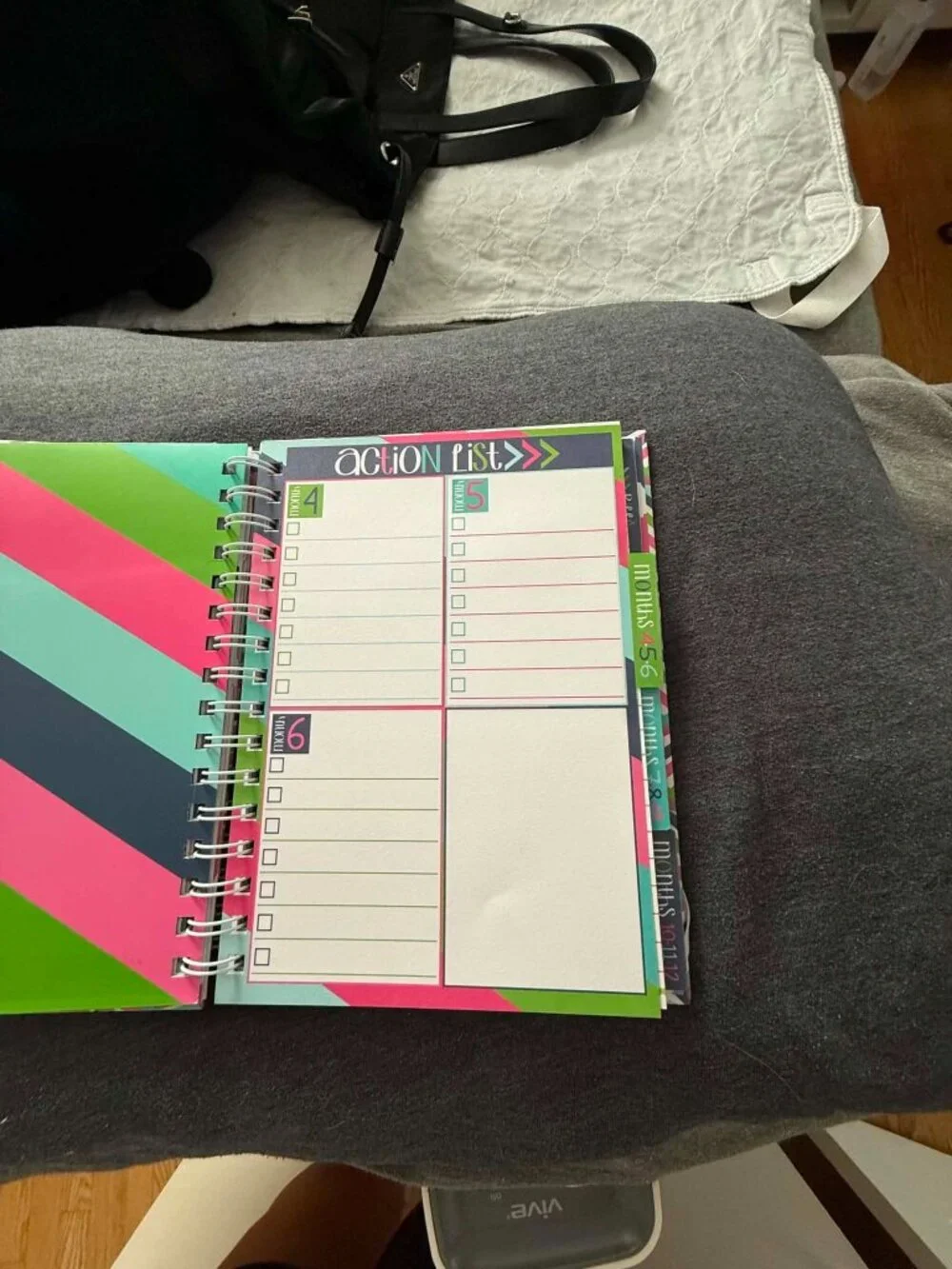 Denise Albright Budget Binder™ Undated 12-Month Budget Planner Workbook
